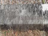 image of grave number 665248